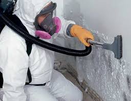 Best Mold Odor Removal Services  in Clear Lake Shores, TX